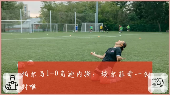 帕尔马1-0乌迪内斯，埃尔菲奇一剑封喉