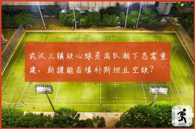武汉三镇核心球员离队潮下急需重建，新援能否填补斯坦丘空缺？